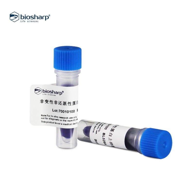 Biosharp BL529A BL529B 5*蛋白上样缓冲液非变性非还原型