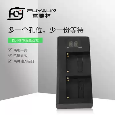 foya forest DL-F970 battery double charge charger application HXR-NX5C NX5R NX3 TRV1 NX5