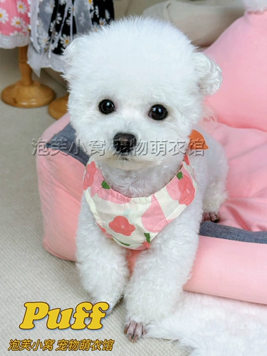 Жилет Pet Teddy Berki Bomek Summer Dog Одежда со сцеплением