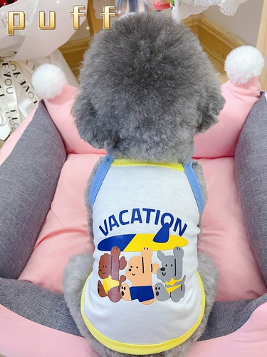 Одежда для любимой собаки плюшевая бим -бим боменг Малзис маленький собака летний кошачий клуб