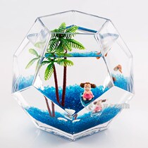 Polyhedron individuality bucket fish tank small mini table fish tank creative glass ecological fish tank geometric solid fish tank