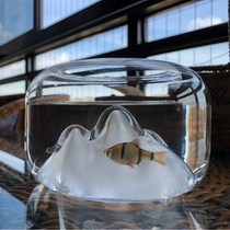 Snowy Mountain Glass Fish Tank Living Room Small Decoration Small Swing Piece Mini Aquarium Tabletop Water Grass Super White Creative View