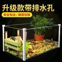 Turtle Tank with Sundae Turtle Villa Ecological Tortoise Vat Turtles cylinder glass fish tank Tank Turtle Basin