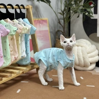 Синие четыре фута