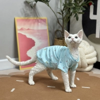 Синий, короткий рукав