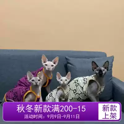 Summer hairless cat clothes suspenders thin cotton anti-allergic Tide brand Sphinx Deven Abi cat clothes