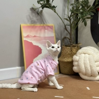 Розовый, короткий рукав