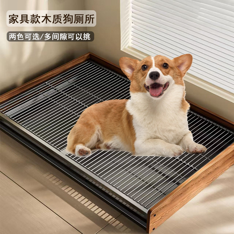 The dog toilet is full of dogs and puppies and puppies and puppies and puppies.