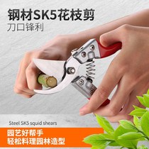 Gardening fruit tree scissors landscaped garden shears multifunction pruner scissors for pruning fruit trees flowers branches Scissors Coarse Branches Cut