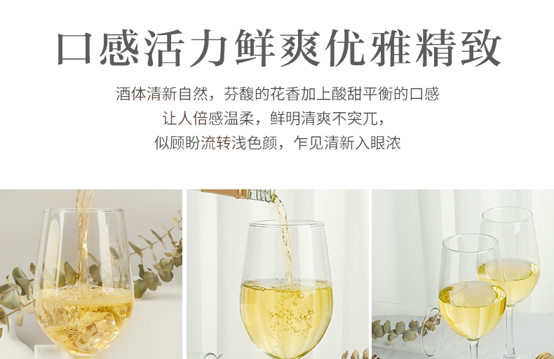 朗诗黛尔 8度白葡萄露酒 500ml 图9