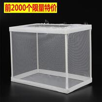 Aquarium fish eggs mini parrot fish incubator breeding box protection pneumatic new zebra isolation net independent