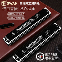 German Import Sound Printemps 24 Holes Cometone Harmonica High End Professional Hall Performance Class Adults Beginners Gifts