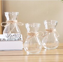 Glass Vase ornaments