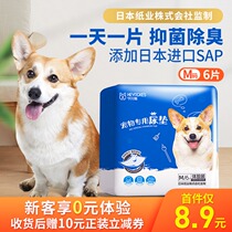 Hens pet diaper absorbent pad Dog urine pad Deodorant thickened Cat diaper urine pad Experience pack rabbit