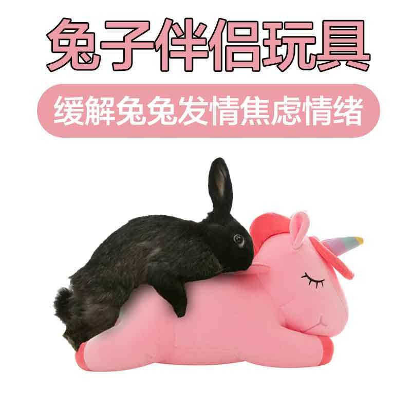 Adult rabbit in heat stuffed vent toy doll, male and female dwarf lop-eared  rabbit, pet