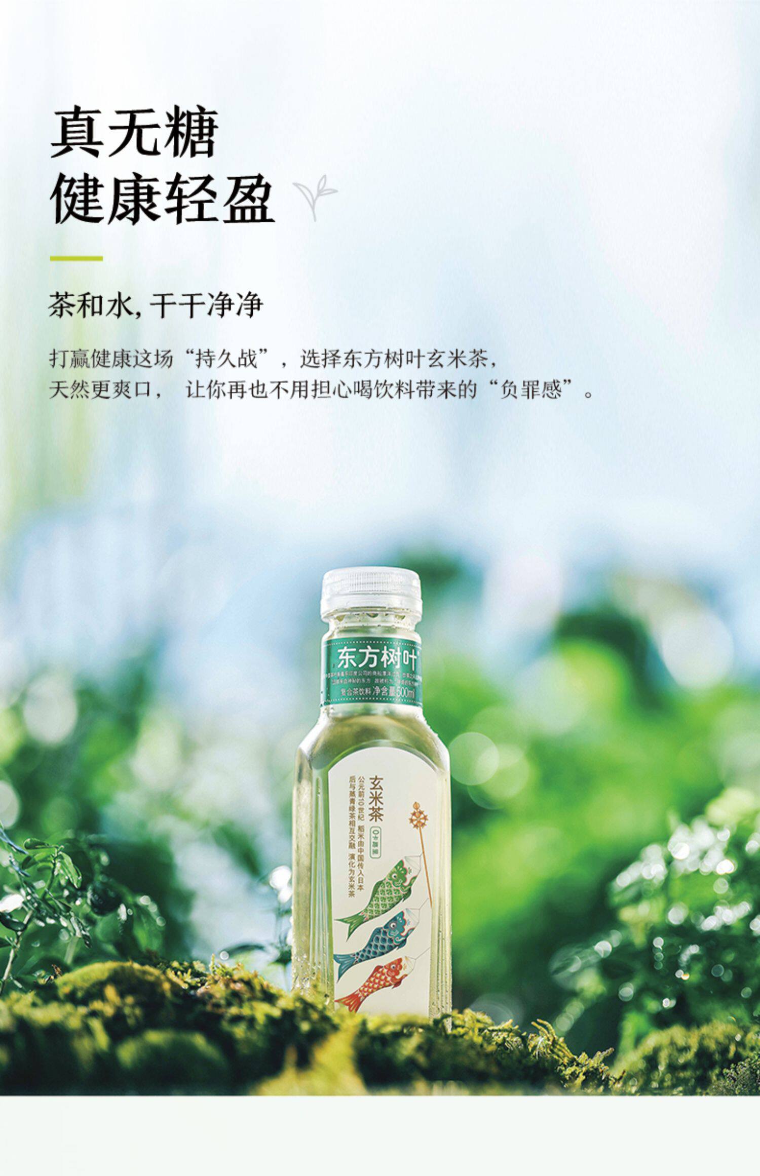 农夫山泉 东方树叶 500ml*15瓶 图14
