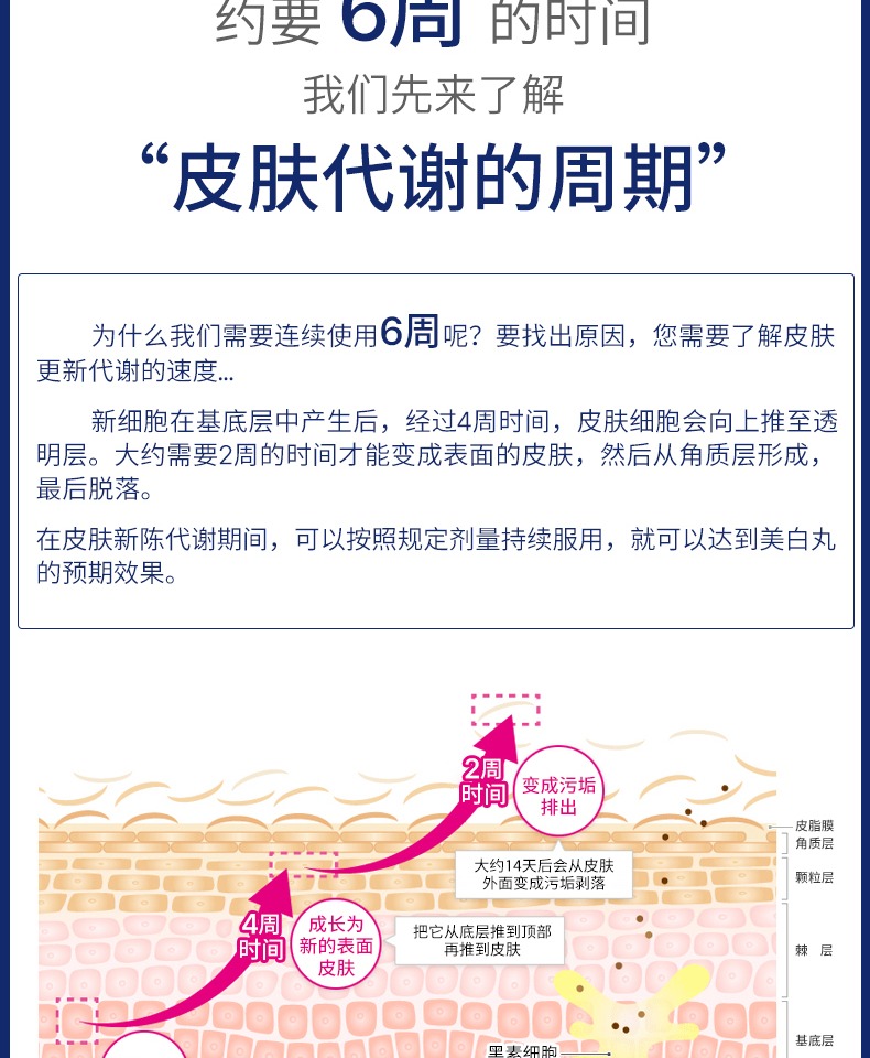 日本一三共全身美白丸240粒