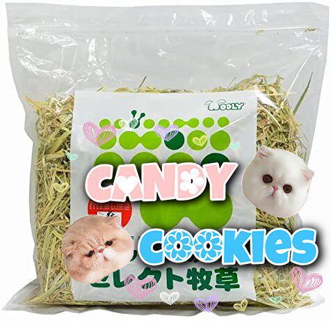 Japan wooly rabbit natural selection of Australian gold oat grass 850g