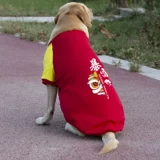 Демисезонный утепленный свитшот, модная утепленная толстовка, осенний сезон