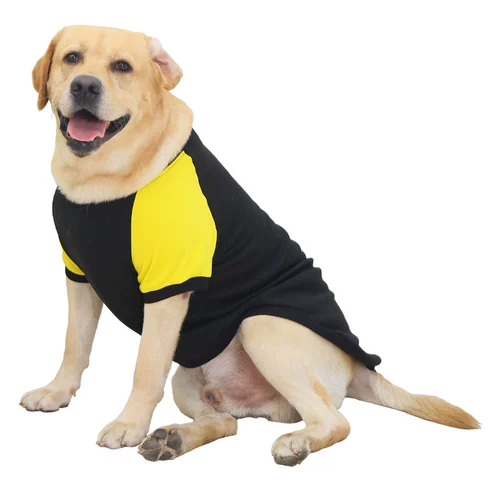 Демисезонный утепленный свитшот, модная утепленная толстовка, осенний сезон