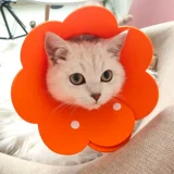 Кошка Элизабет Круг нажимает солнце цветочный свет мягкий рот полотенец против