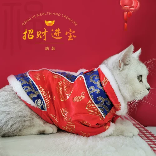 Праздничнный удерживающий тепло демисезонный пуховик, ципао для принцессы, китайский стиль