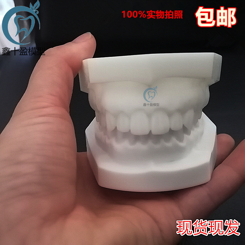 牙科口腔模型 牙医练习标准牙齿模型 口腔执业考试白刚玉备洞打磨