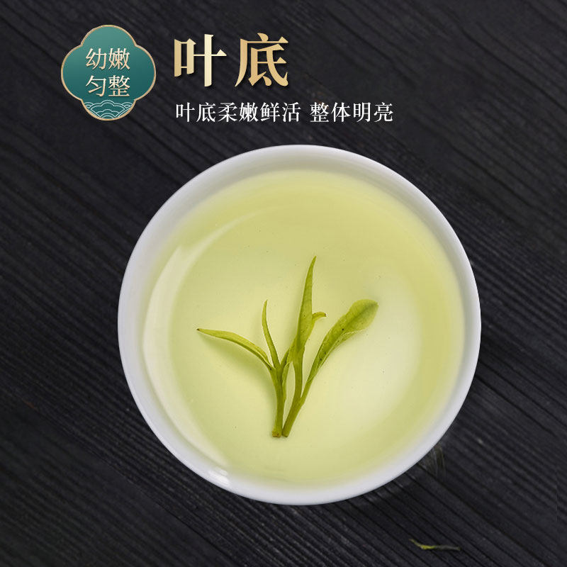 崂山茶 早春绿茶礼盒装 125g*2罐 天猫优惠券折后￥49包邮（￥99-50）