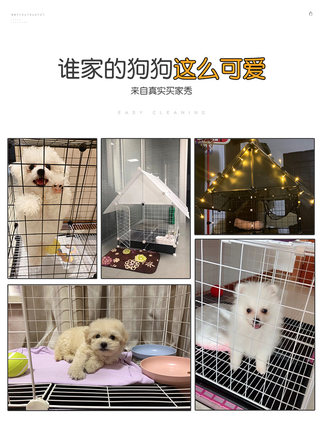 Kennel house type villa with toilet dog cage small dog winter and summer house separation indoor pet fence