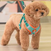 Dog belt leash rope net red cat pet big anti-flush rabbit adjustable pet dog supplies complete chain