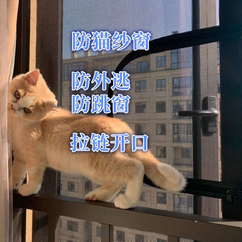 Window screen Anti-cat jumping window Jumping Window Escape Sealing Window Mesh Blocking Cat Isolation Home Mosquito Prevention Cat Net Stop Cat Out Balcony