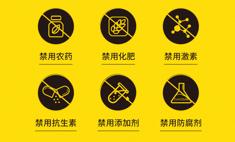 【拍2件】法国蜜月进口纯正天然野生蜂蜜