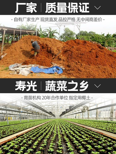 Кокосовое кирпичное питание Земля Посадка кокосовой кокосовой кокосовой кокосовой кокосовый кокосовый кирпич кирпич, соль, соль, цветок плохое значение