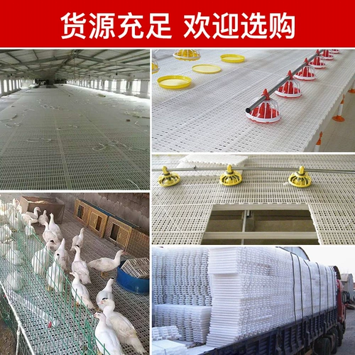 Пластина утечки курицы, курица, утка, куриный дом гусиного голубя, куриный дом, дерьмовая пластиковая пластиковая доска для птицы, сетка утечки курицы