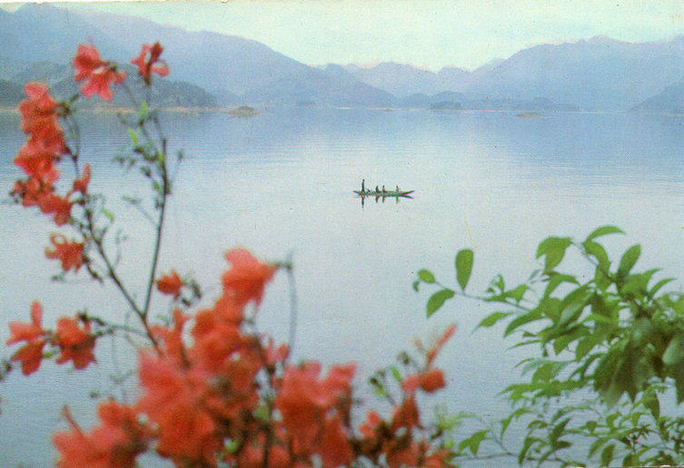 80s Real posting of a postcard  ​​​​​​​