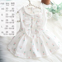 Белая спина ананасовая юбка леди