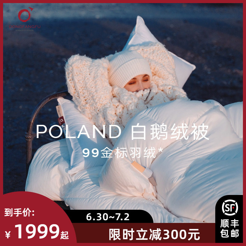 Oriental endowed with 95 white goose down quilt core 180 full cotton warm down quilted by winter by single double All season quilt