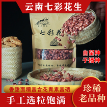 Yunnan colorful peanuts sun-dried hulled full peanut rice 2020 newly listed seeds sowing and planting