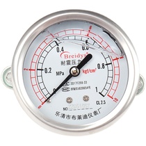 Pressure gauge YN50ZVBF full stainless steel resistant pressure gauge hydraulic pressure universal 1 6 100mpa multivolume