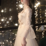 宴会高端伴娘晚礼服裙女气质香槟色声乐艺考主持人连衣裙小众轻奢