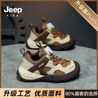 Земля Браун (обновленная версия сетки)