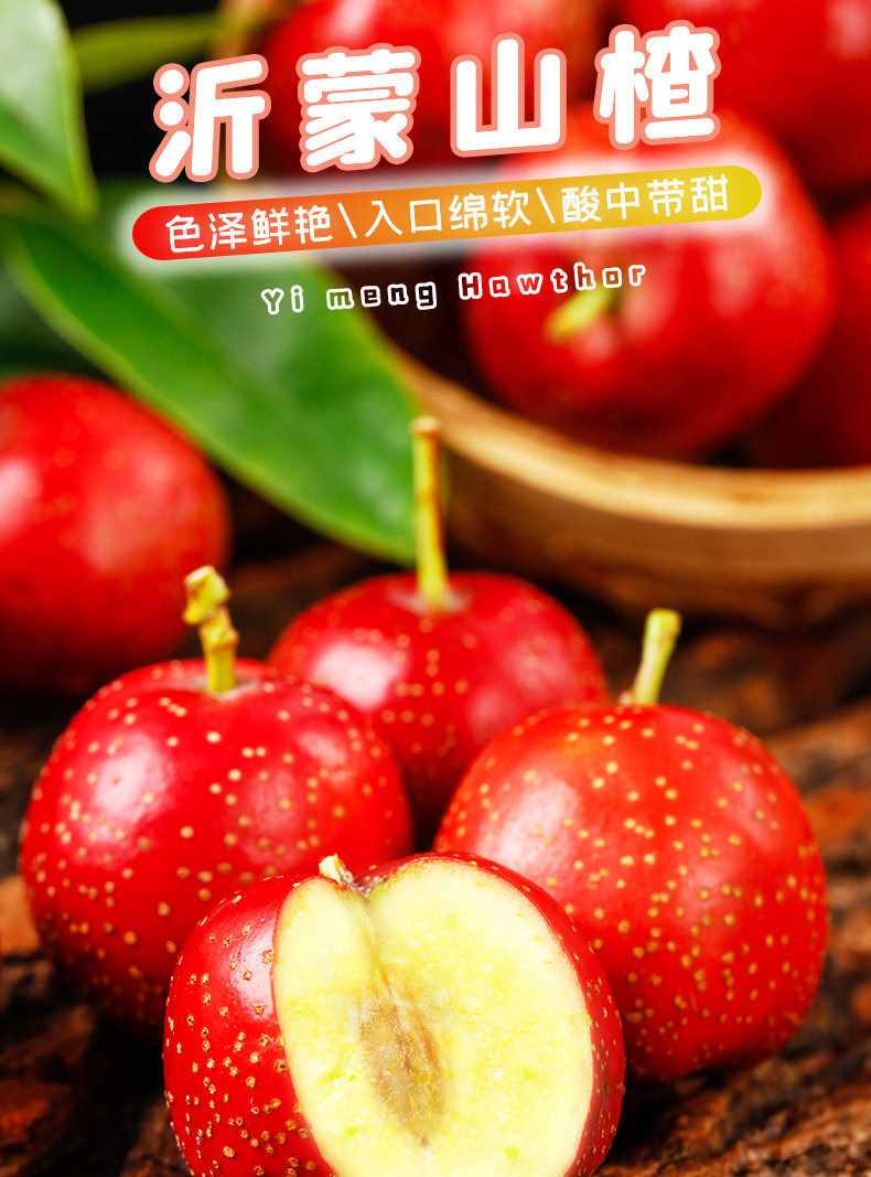 哲扬 新鲜山楂 5斤整箱 天猫优惠券折后￥16.8包邮（￥36.8-20）