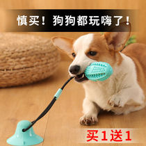Dog tug-of-war toy dog bite rope knot vocal suction cup interactive pull leak feed tooth grinding rope rubber Rugby