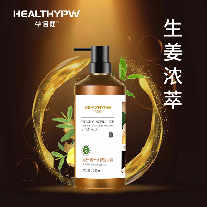Progestin Ginger Juice Extraction Shampoo of Shampoo Ginger plant Nourishing Show Hair Repair Damage Gestation to Cuttings Shampoo