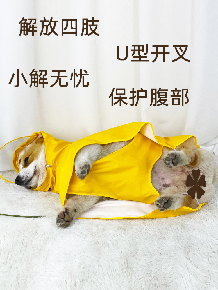 O1CN01fp4C061qmuYOEMIBy_!!2208642545539.jpg