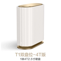 Версия с двойным диском T1 (1 блок 4T)