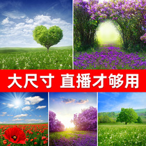 Landscape background cloth live broadcast background cloth 3d stereo net red photography photo HD hanging cloth anchor background cloth custom atmospheric net red wall live broadcast room large size photo background cloth 1 8*2 2m