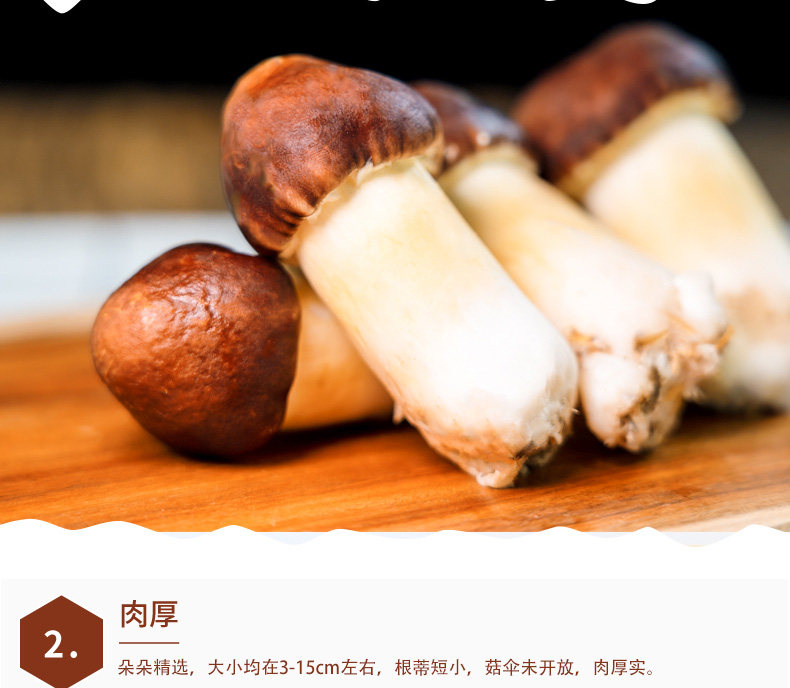 天然赤松茸 1000g 图5
