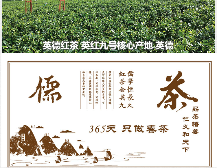 国礼级红茶 英德红茶 金英九 玉清上叶 150g 图21