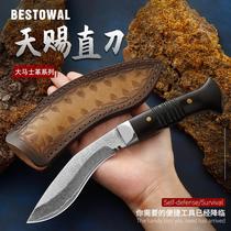 Outdoor Knives Damascus Steel Knife Carry-on Knife Field Courtson Wilderness Survival Knives Anti-Hull Tactical Gfight Knife